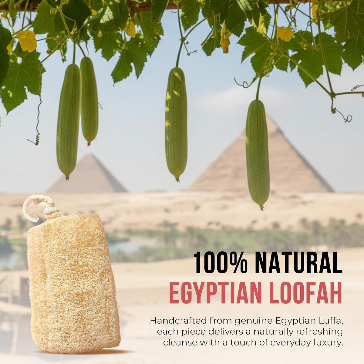 SERRENTO Loofah Body Bath Scrubber Shower - Egyptian Loofa Pack of 3 Tan