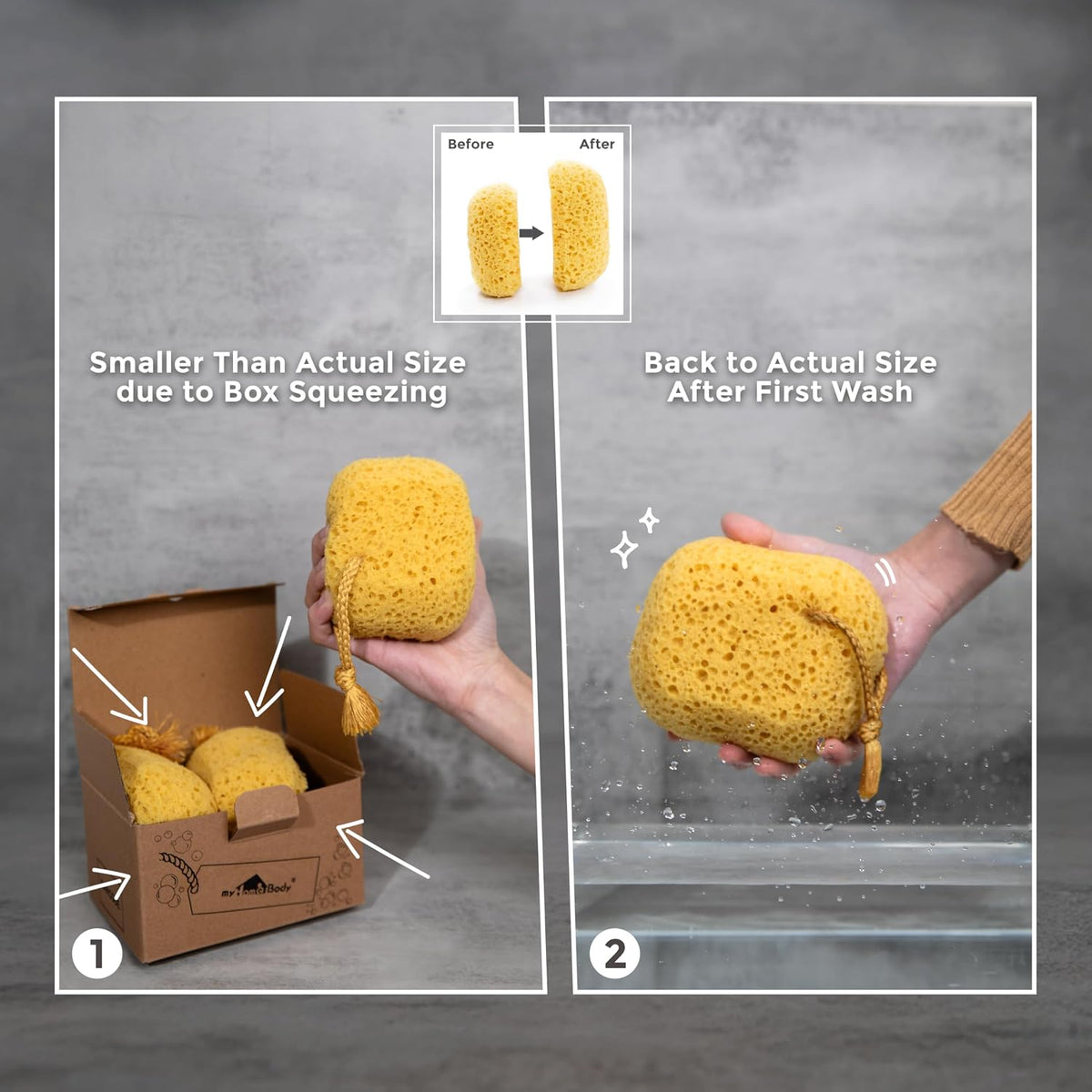 myHomeBody Bath Sponge, Foam Loofah, Shower Sponge for Body, Curvy, 2 Pack